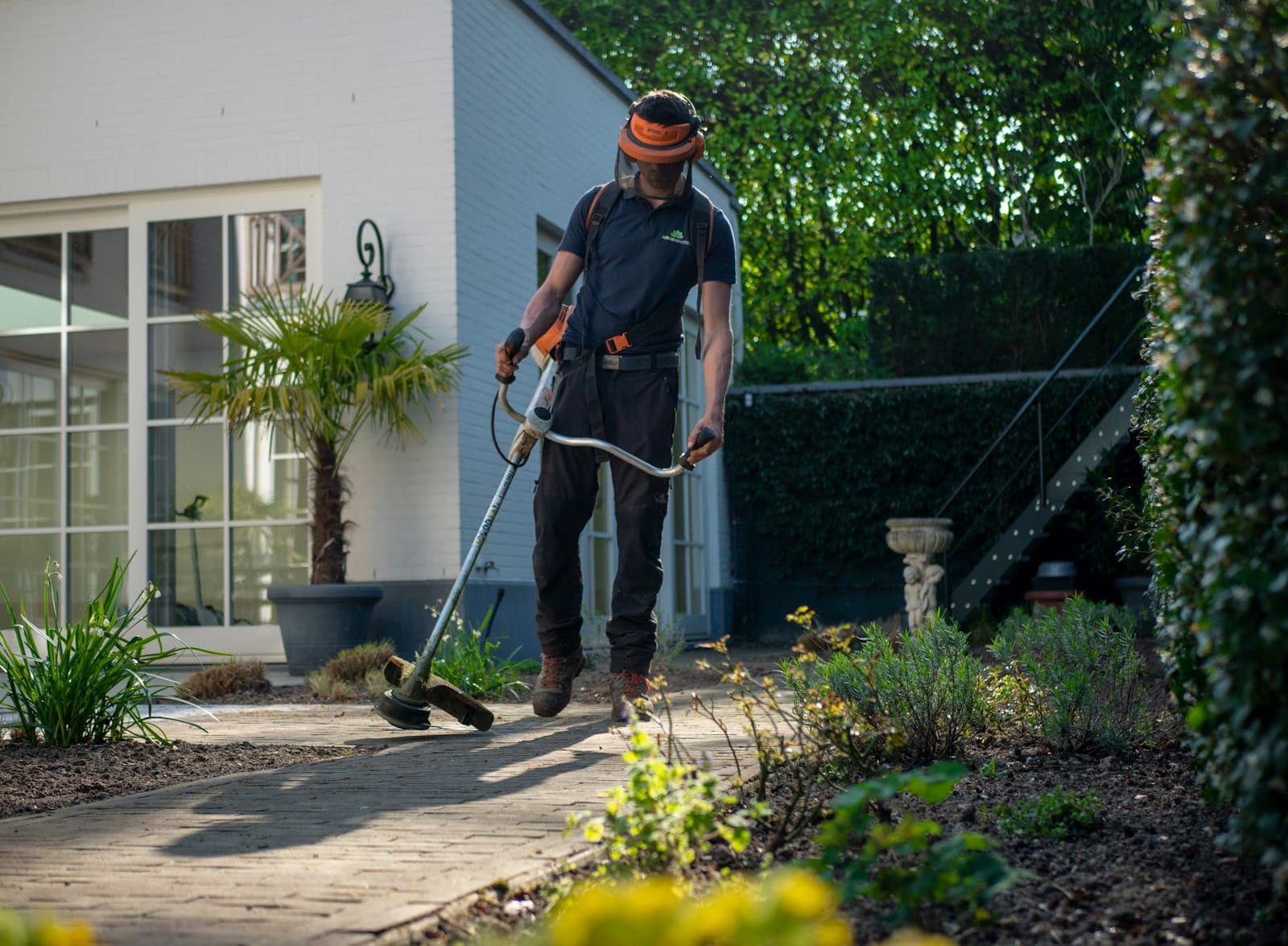 Urban Garden Mastery