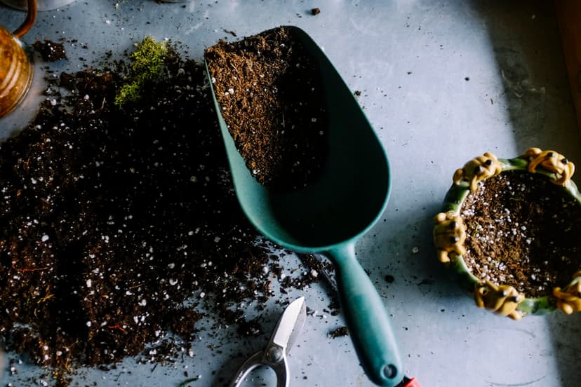 Self-Watering Containers